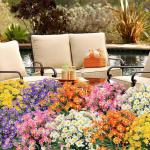 Künstliche Blumen Gänseblümchen UV-beständig Farbecht Kunststoff Pflanze für Home Decor