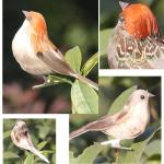 Rode kardinaal, kerstboomdecoratie, vogelknutselset voor boom, huis, tuin, feestdecoraties in de open lucht, D-12 stuks, Sparrow