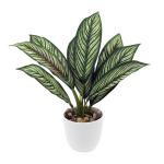 Künstliche Calathea Zimmerpflanze Kunstpflanze Buschig mit 8 gefärbten Blättern im Kunststofftopf, Höhe 33cm, Grün-Rot