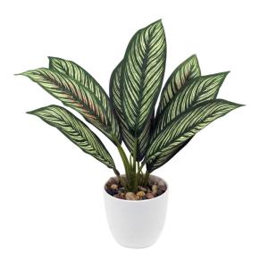 Künstliche Calathea Zimmerpflanze Kunstpflanze Buschig mit 8 gefärbten Blättern im Kunststofftopf, Höhe 33cm, Grün-Rot
