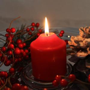 50 x strooidecoratie, decoratieve takken met bessen, decoratieve takken om te strooien als knutselbenodigdheden, verfraait geschenken en potpourris (50 stuks, weinig bessen)