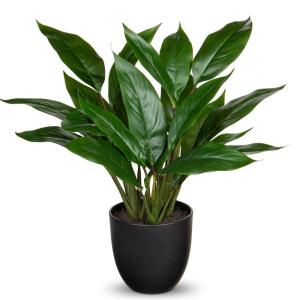 Kunstplant als echte kunstplant, decoratieve plant Calathea, struikachtig met 22 bladeren in kunststof pot, kamerplant, hoogte 43 cm, groen