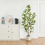 Citroenboom, , 150 cm, grote citroenboom met levensechte vruchten in witte pot, als echt voor moderne decoratie (1 stuks)