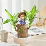Braziliaans gloeiend hout, Braziliaanse houten plant, mini gelukshhout uit Braziliaanse houten plant met monnikstandbeelden, desktopplant, Braziliaanse houtplant, stomp