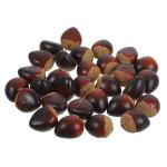 4 Sätze Schaumkastanie Lebensechte Kastanien Kastanien-tischstreuung Künstliches Kastanienmodell Lebensechte Nussdekoration Künstliche Nüsse Für Zu Hause Coffee 30 Stück * 4