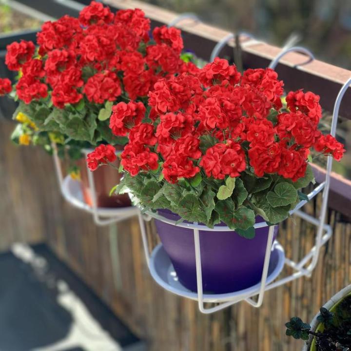 3 stuks , zijden geraniumbloemen met groene bladeren, realistisch nep-geraniumboeket voor tuin, thuiskantoor, feest, bruiloft, tafeldecoratie, rood