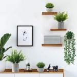 Set van 4 , decoratieve voor binnen in potten, plastic voor het bureau, bureautafel en planten