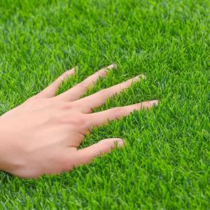 Kunstrasen, hochwertige, lichtechte Florrolle, 20 mm Florhöhe, Astro Turf, Kunstrasen für Hunde oder als Außendekoration (Größe: 2,5 x 7 m)