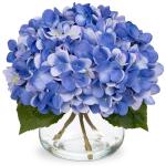met 4 hortensia's
