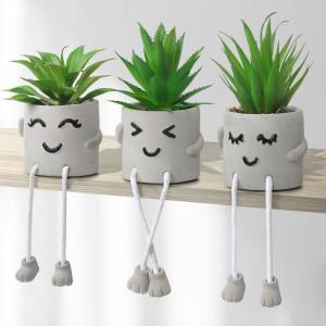 3 stuks kunstmatige vetplanten, echte planten met potten, emotioneel cement, potplant met hangende poten, decoratie, planten voor badkamer, tafeldecoratie, woonkamerdecoratie, vens
