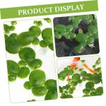 2 Sätze Wasserlinsen-Kunststoff Künstliche Pflanzen Artificial Pflanzen Künstliche Wasserpflanzen Simulierte Aquariumpflanzen Entengrütze Wasserlinsen-dekor Plastik 90 Stück *
