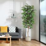 Ficus Benjamina , groot, 210 cm, met natuurhouten stam, kamerplant, kunstboom in pot, voor thuis, kantoor, balkon, decoratie (1 stuks)