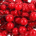 25x Decoratieve tak - decoratieve kleine takken met bessen - decoratieve takken als tafeldecoratie - knutselaccessoires voor doe-het-zelfwerkzaamheden (25 stuks - rode bessen 2)