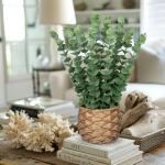 Kunstplant eucalyptus kunstplant lijkt op echte kamerplanten, decoratieve planten in gevlochten zeegras, pot, hoogte 39 cm