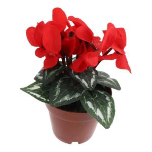 3St Topfpflanze künstliche Bonsai für den Haushalt Blumenstrauß aus grünen Büschen künstliche zimmerpflanzen kunstpflanze künstliche Pflanzenverzierung Desktop-Blumendekor r