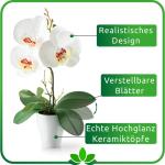 in pot (35 cm), set van 3 kunstorchideeën, kunstmatig afgestemde arrangement in hoogglans-keramische potten, decoratieve bloemen, kunstorchideeën (wit-arrangement)