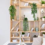 3 stuks kunsthangplanten, eucalyptus, bladeren met potten, 63 cm lang, onderhoudsvrije , wijnstok voor tuin, binnen en buiten (eucalyptus)