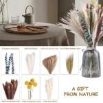 Gedroogde pampasdecoratie, natuurlijke gedroogde bloemen, 100 stuks, doe-het-zelf, gedroogde bloemen, boeket, ideaal voor boho, woonkamer, bruiloft, slaapkamer en vazen (LZGSGO-010