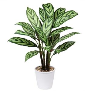 24 inch Kunstmatige Calathea Majestica Exotica Plant Faux Calathea Plant Decoratieve Indoor Nep Plant in Witte Pot voor Thuis of Kantoor