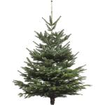 Echte kerstboom - Nordmann-spar - vers geslagen kerstboom dennenboom (spar, 80-100 cm)
