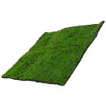 3st Künstliches Künstliches Moos Dekorativer Rasen Landschaftsdekor Landschaftsgestaltung Dekorative Requisite Gefälschte Grasmatte Glasflasche Chemische Faser Kunstrasen