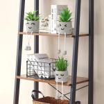 3 stuks kunstmatige vetplanten, echte planten met potten, emotioneel cement, potplant met hangende poten, decoratie, planten voor badkamer, tafeldecoratie, woonkamerdecoratie, vens
