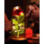 Die Schöne und das Biest Ewige Rose, Rote Galaxie Rose Geschenk für Mama, Rose in Einer Glaskuppel mit LED Licht Holzsockel für Freundin Frau am Muttertag Geburtstag Valentinsta