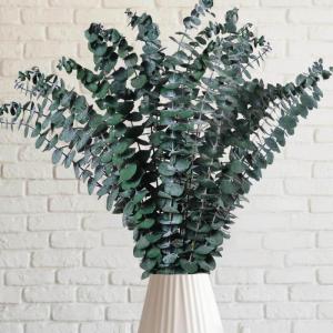 24 stuks kunstmatige eucalyptus decoratieve planten, eucalyptusplant, eucalyptus gedroogd, droogbloemen decoratie, decoratieve planten voor bruiloftsfeesten, feesten, thuis, tafeld