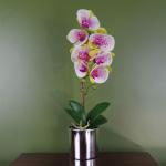 Künstliche Orchidee, Harlekin, mit silberfarbenem Topf, 46 cm, Rosa