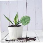 300 Stück Simulierte Schildkrötenblätter Hawaii Dekor Tropische Blätter Simulation Von Monstera Blättern Simulation Von Monstera Blättern Blumenarrangement Künstliche