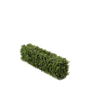 Kunstmatig buxus hek element 100x20cm H. 25cm Emerald Outdoor