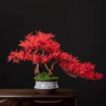 Künstlicher Bonsai-Baum Bonsai-Baum, künstlicher roter Ahornblatt-Baum, künstlicher Bonsai-Simulationsgarten, gefälschte Pflanze, künstlicher Bonsai-Baum, Innendekoration Kün