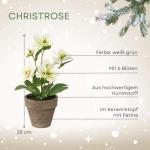 Christrosenbusch weiß-grün im Keramik Topf I weihnachtliche Christrose 28cm I Christrosen im Topf künstlich I Weihnachtsdeko I hochwertige Kunstpflanzen für Weihnachten