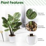 24 inch Kunstmatige Calathea Medallion Plant Nep Planten Home Decor Tropische Faux Plant in Pot voor Home Garden Office Decoratie