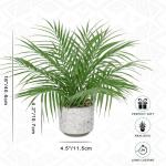 Kleine in pot, 40,6 cm, als echt, kunstkamerplanten voor thuis, kantoor, hotel, boekenwinkel, café, moderne decoratie