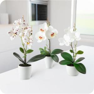 in pot (35 cm), set van 3 kunstorchideeën, kunstmatig afgestemde arrangement in hoogglans-keramische potten, decoratieve bloemen, kunstorchideeën (wit-arrangement)