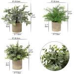 in pot, , klein als echt, 3 stuks, bureauplanten, mini-voor tafeldecoratie, huis, balkon, kantoor, decoratie #3