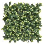 Plantenwand, , wandplanten, 50 x 50 cm, decoratie voor muur/balkon/tuin, laurier