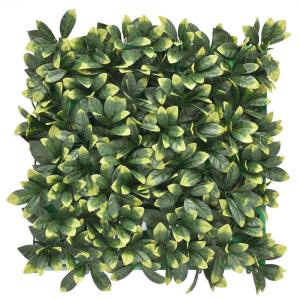 Plantenwand, , wandplanten, 50 x 50 cm, decoratie voor muur/balkon/tuin, laurier