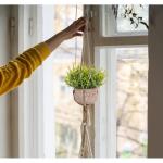 Set van 5 mini- in pot, nep, kleine eucalyptus, rozemarijn, groen, kunststof, kunstgroen, grasplanten, decoratieve nepplant voor huis, kantoor, balkon, bureau, badkamerdecoratie