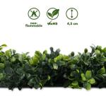 Plantenwand, , wandplanten, 50 x 50 cm, decoratie voor muur/balkon/tuin, boxwood