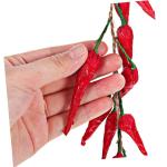 10 STK Chili-Pfeffer-Modelldekoration realistischer Pfeffer falsche Chilischote wandverkleidung Wand polsterung kunstpflanze Spielzeug Fenster-Chili-Anhänger Pfefferverzierung rot