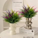 8 bundels , , uv-bestendige struiken, planten
