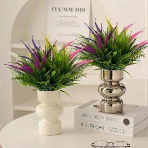 8 bundels , , uv-bestendige struiken, planten