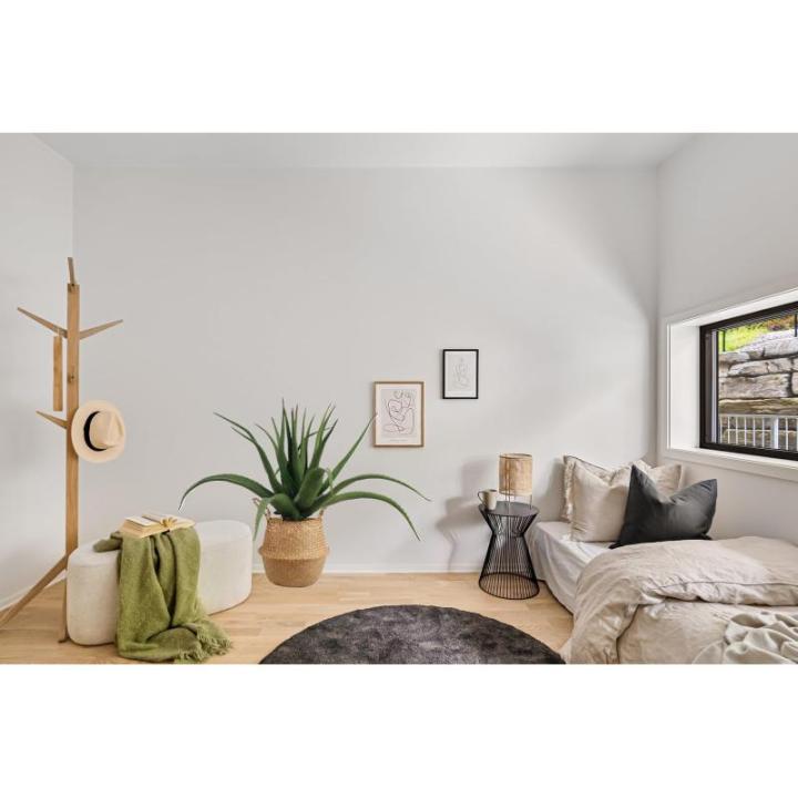 Aloë vera-plant, kunstboom, kunstplant, decoratie, in zwarte pot, zeer realistisch, groen, 55 cm - MN-KP-2219