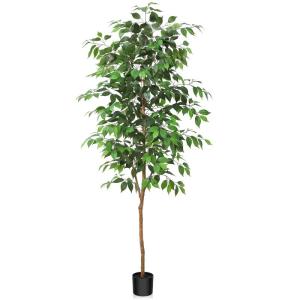 Ficus Benjamina , 180 cm, groot, met natuurhouten stam, kamerplant, kunstboom in pot, voor thuis, kantoor, balkon, decoratie (1 stuks)