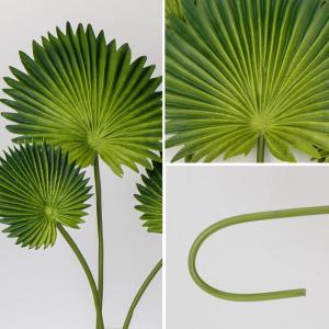 Set van 6 met Monstera-bladeren, echt voor boho-bruiloftsdecoratie, tropische palmbladeren, decoratie voor thuis, feest, keuken, doe-het-zelf bloemstuk