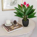 Kunstplant als echte kunstplant, decoratieve plant Calathea, struikachtig met 22 bladeren in kunststof pot, kamerplant, hoogte 43 cm, groen