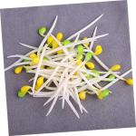 4 Sätze Künstliche Bohnensprossen Home Decor Wohnungsdeko Restaurant-Display-gemüse Realistisches Obstspielzeug Sojasprossen Aus Kunststoff Künstliches Gemüse Plastik 50 Stüc