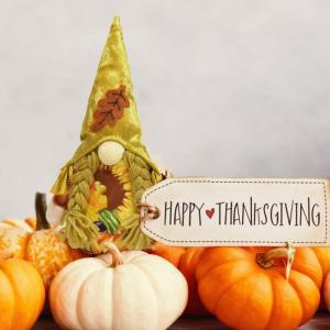 Thanksgiving-dwerg, schattige gezichtsloze vilten pop, Zweedse pluche dwerg-ornamenten voor geluk, herfst, oogst, feest, thuis, tuin, keuken, oogstfeest (2 stuks)